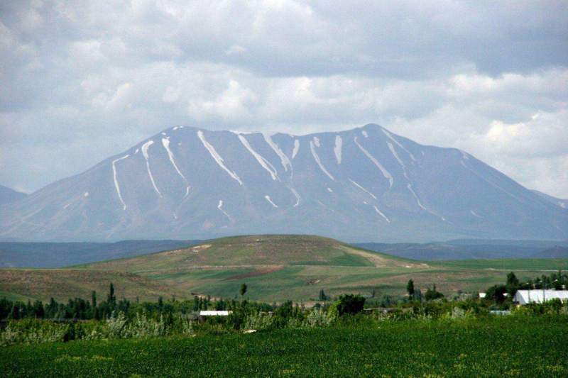 فرید اسلامی
